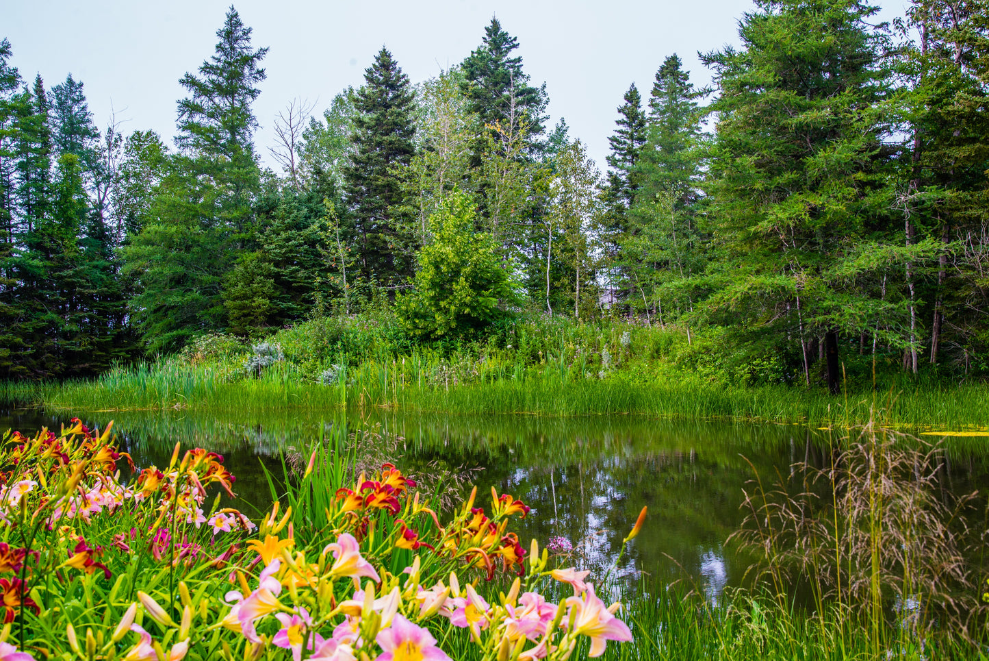 Gaspé Peninsula | August 25 - September 1 | Activity Level 3