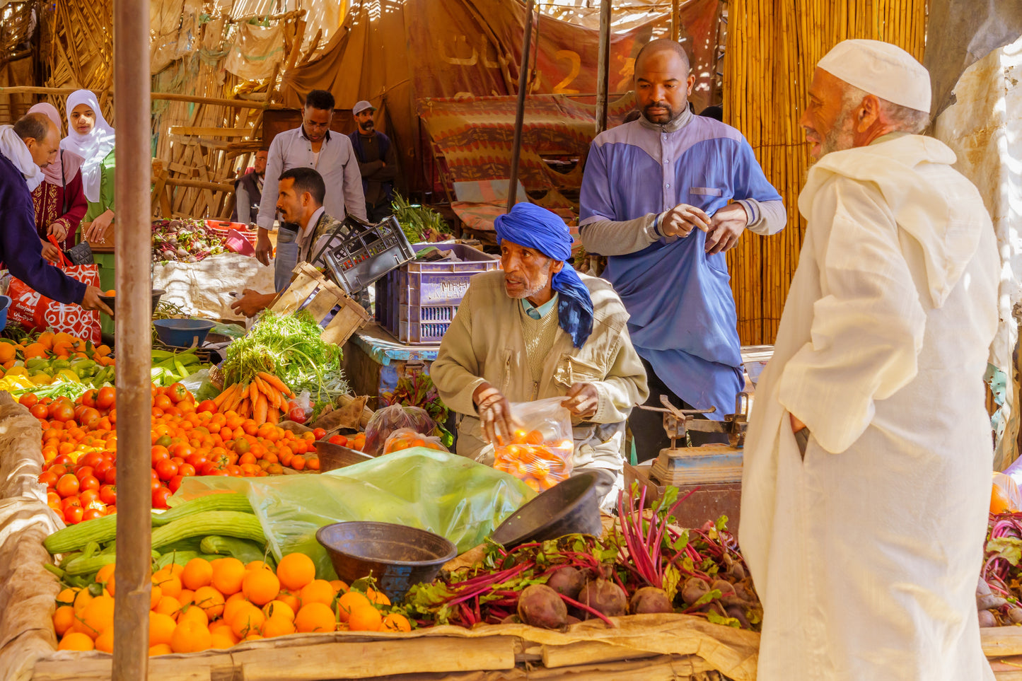 Gateway to Morocco | March 29 - April 12, 2027 | Activity Level 3