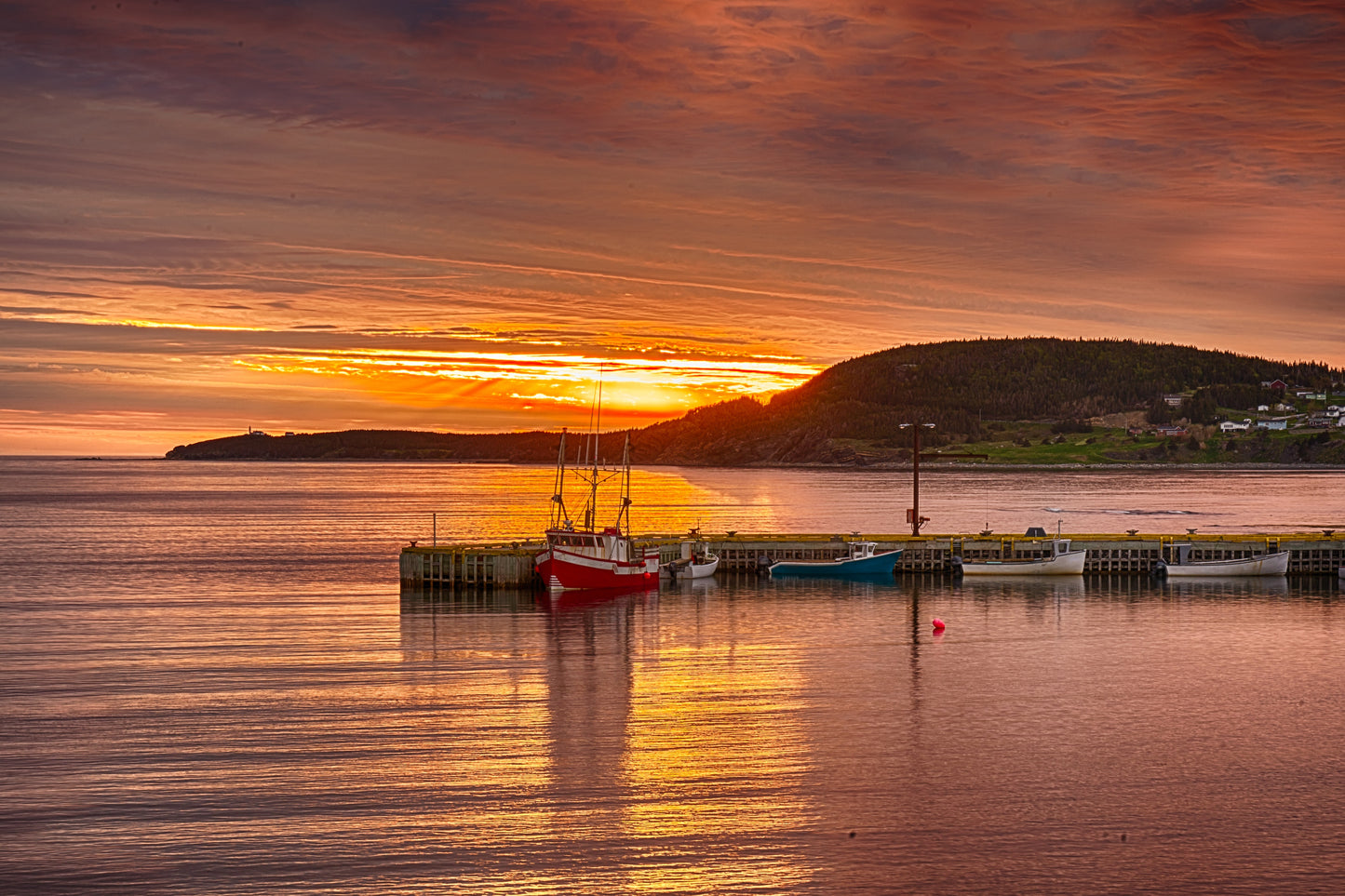 Newfoundland: An East Coast Adventure | June 8 - 23, 2027 | Activity Level 2