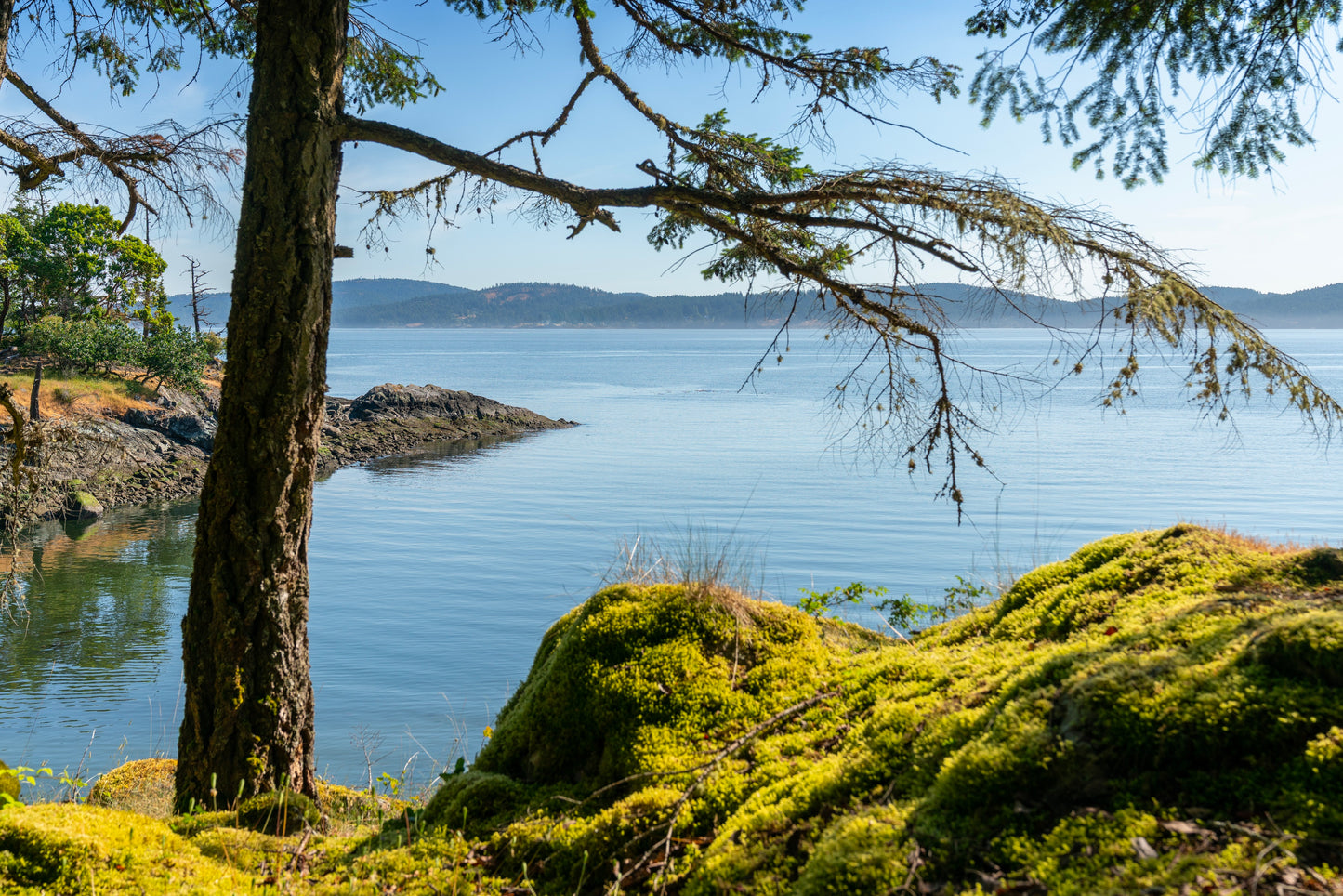 Thanksgiving on Salt Spring Island | October 12 - 15 | Activity Level 3