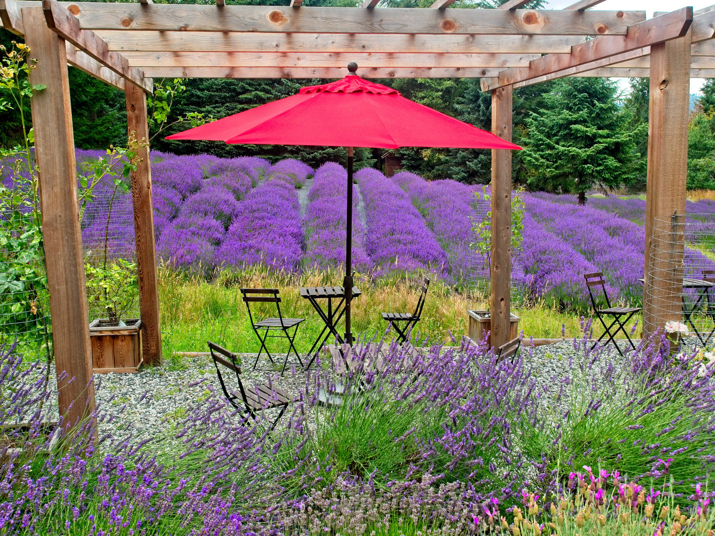 Explore Salt Spring Island | May 11 - 14, 2026 | Activity Level 3