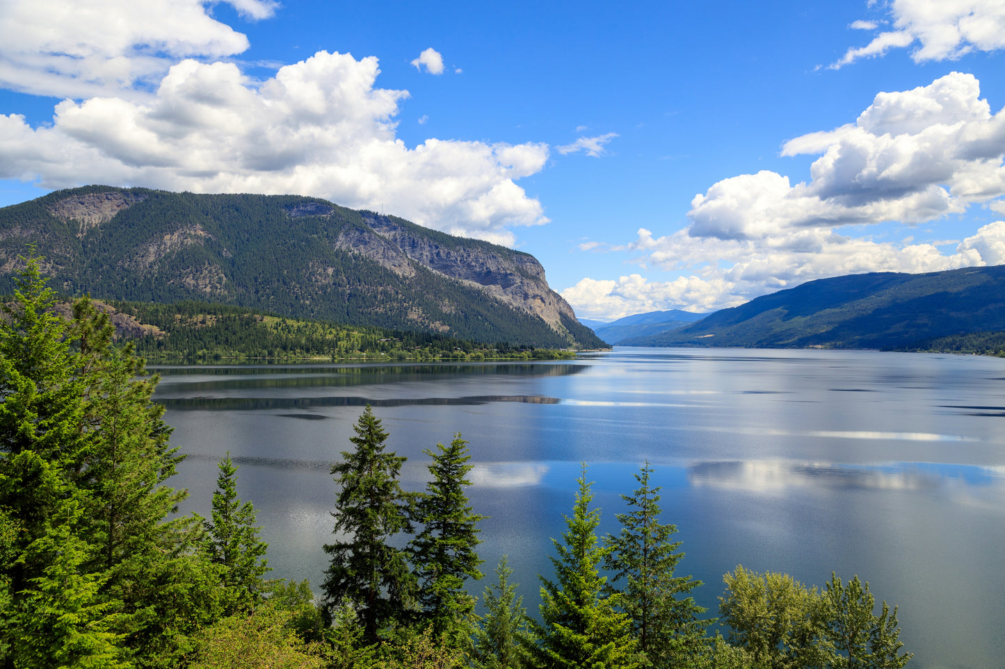 Adams River Salmon Run | October 19 - 21 | Activity Level 2