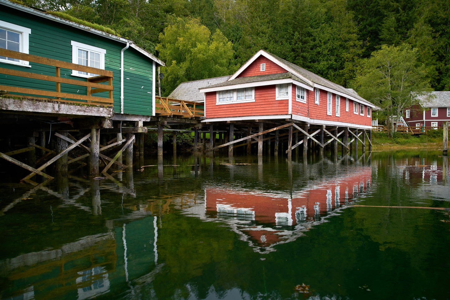 The Wandering Waterways & Rails of BC | August 8 - 14 | Activity Level 3