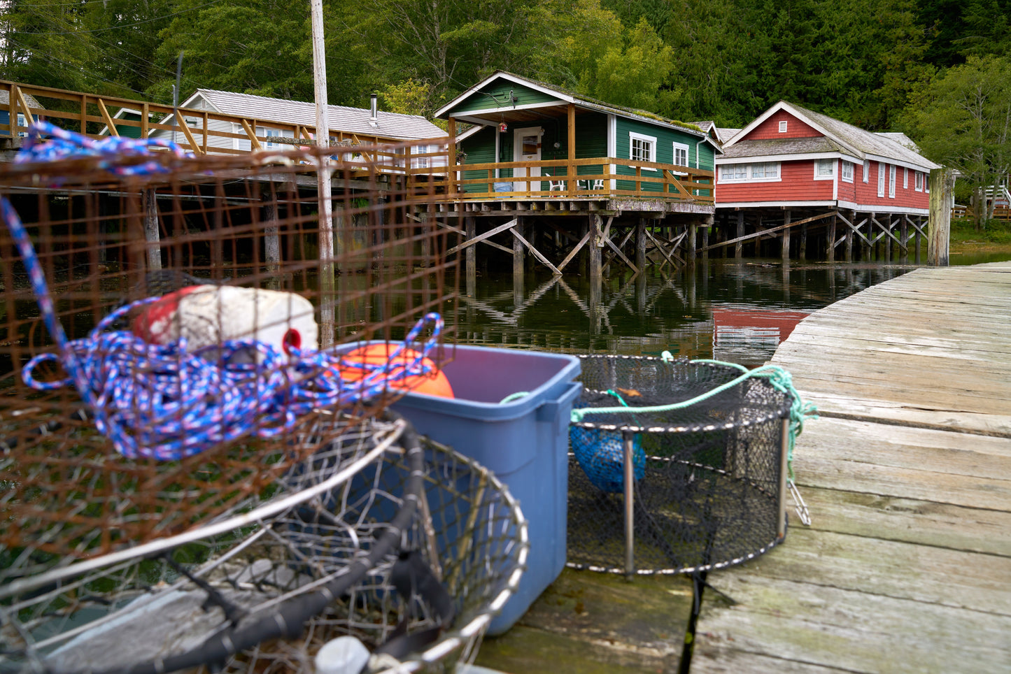 Cruising the West Coast Waterways | July 10 - 15, 2026 | Activity Level 3