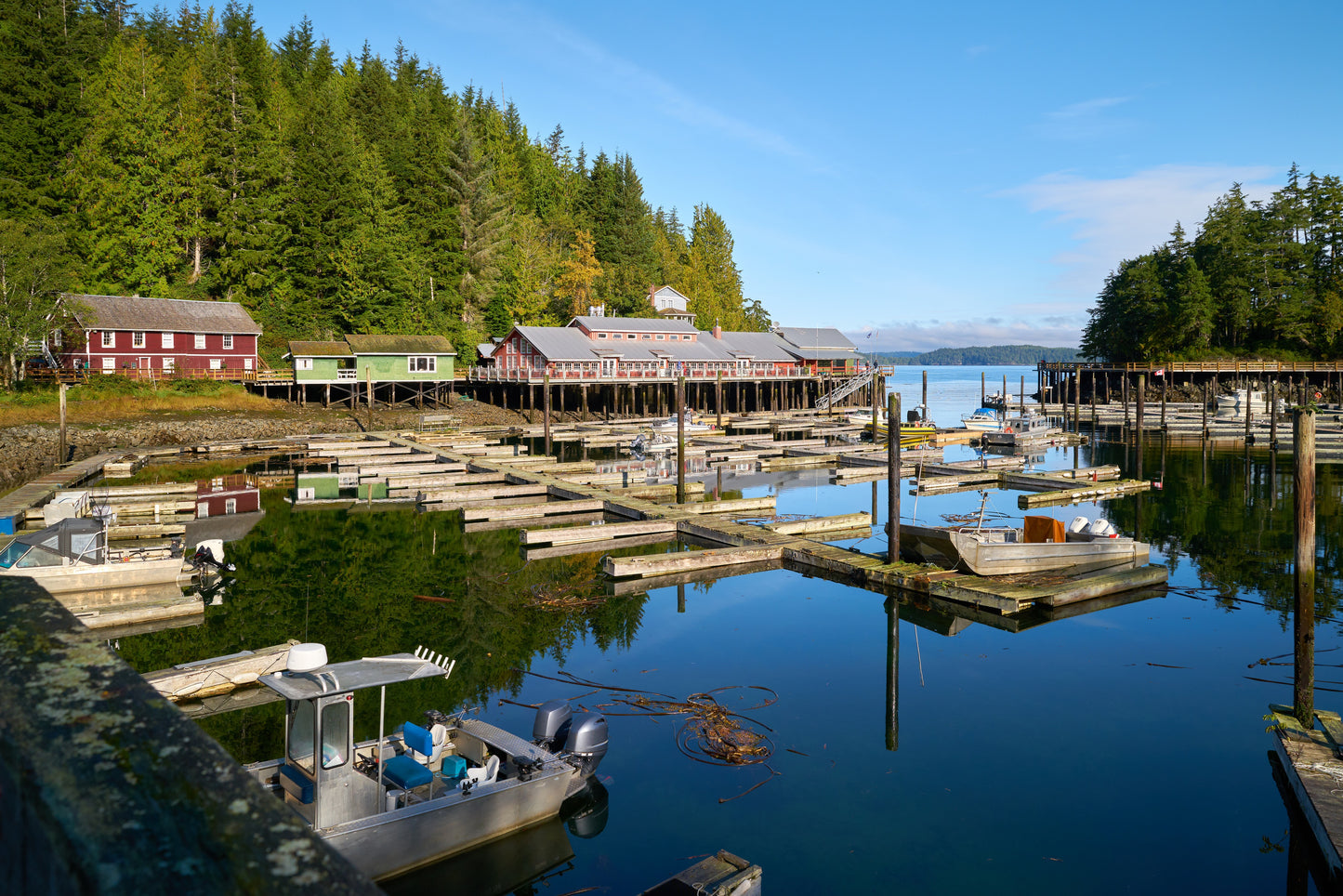 Cruising the West Coast Waterways | July 10 - 15, 2026 | Activity Level 3