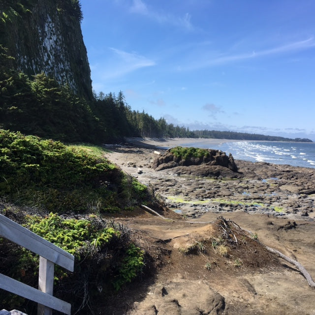 Haida Gwaii | July 3 - 9, 18 - 24, August 7 - 13, 2026 | Activity Level 3