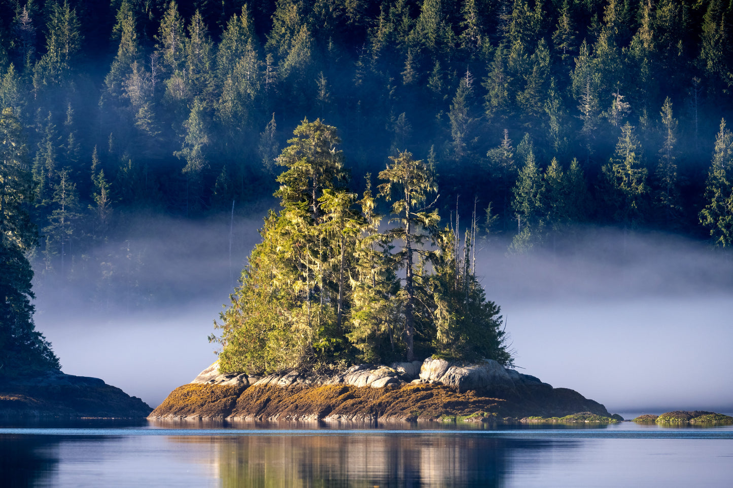 Cruising the West Coast Waterways | July 10 - 15, 2026 | Activity Level 3