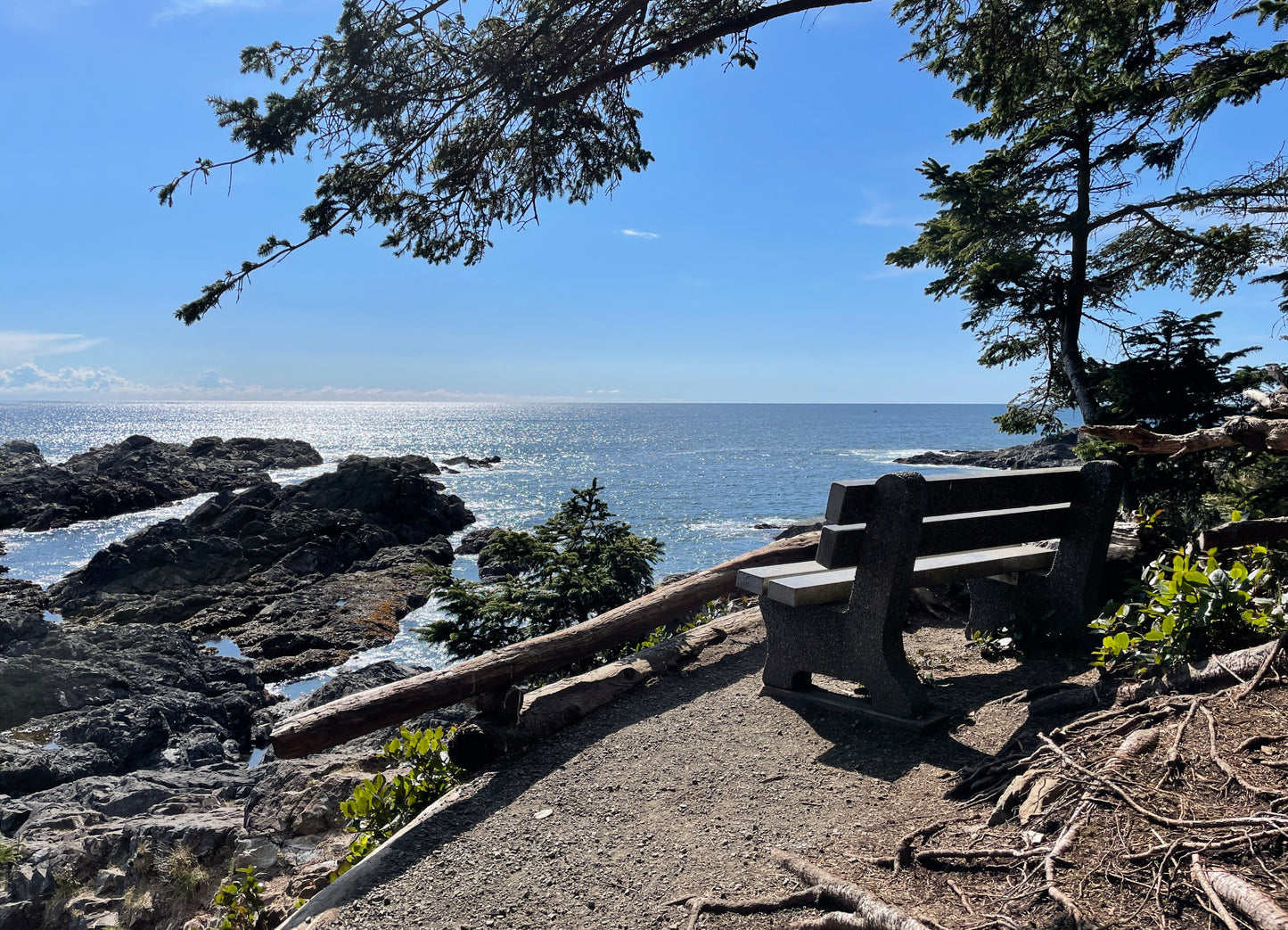 The Wild West Coast | June 8 - 12 | Activity Level 3