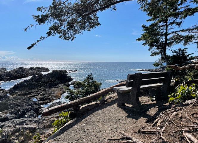 The Wild West Coast | June 8 - 12 | Activity Level 3