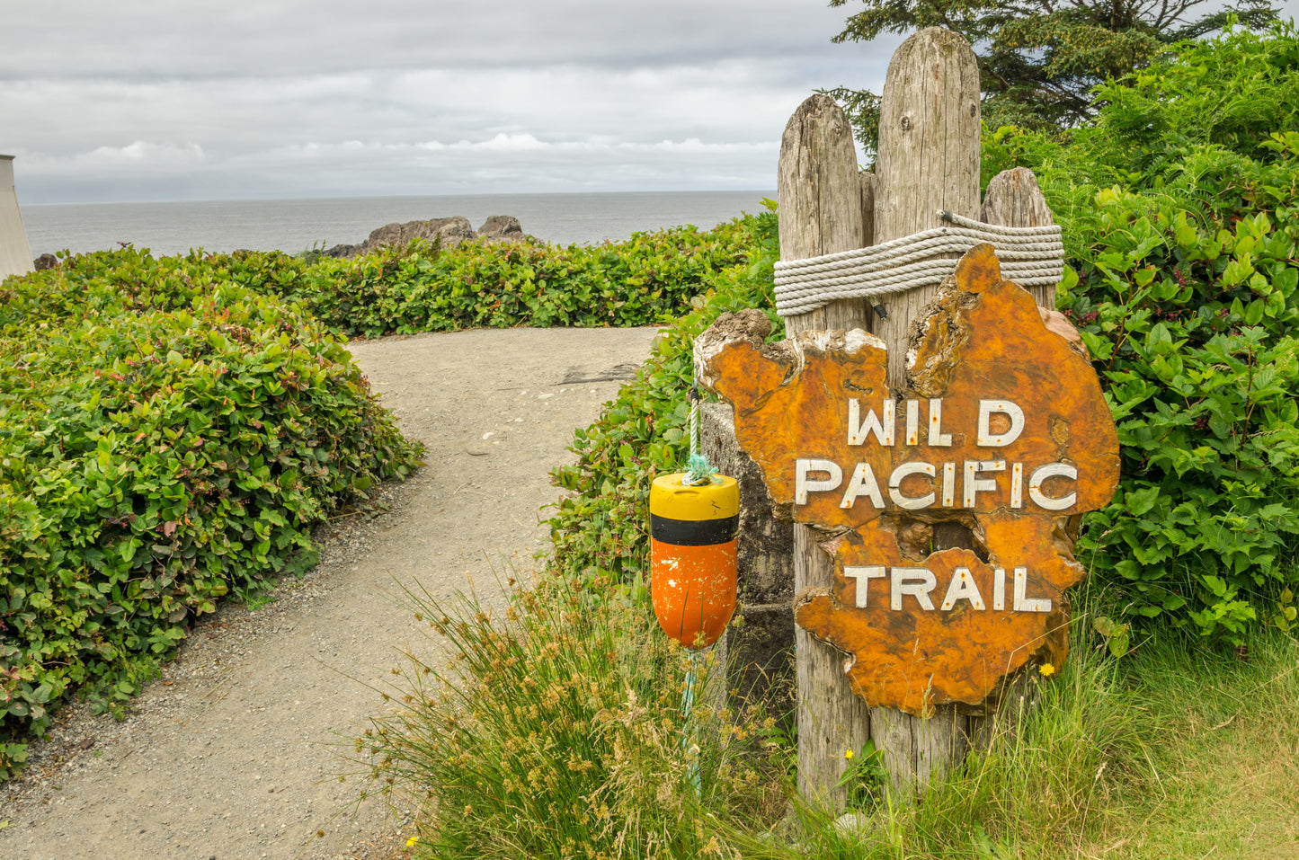 Wickaninnish Inn Experience | November 23 - 27, 2025 | Activity Level 3