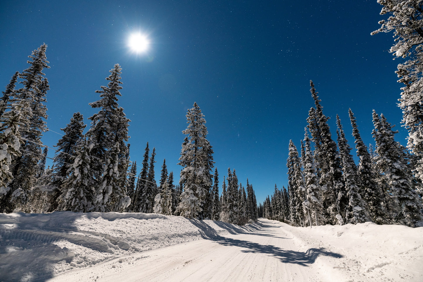 Yukon's Northern Lights | February 18 - 22, 2027 | Activity Level 2