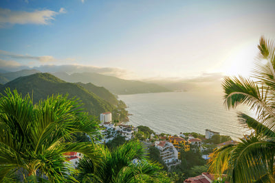 Puerto Vallarta–Riviera Nayarit | January 7-14, 2026 | Activity Level 2