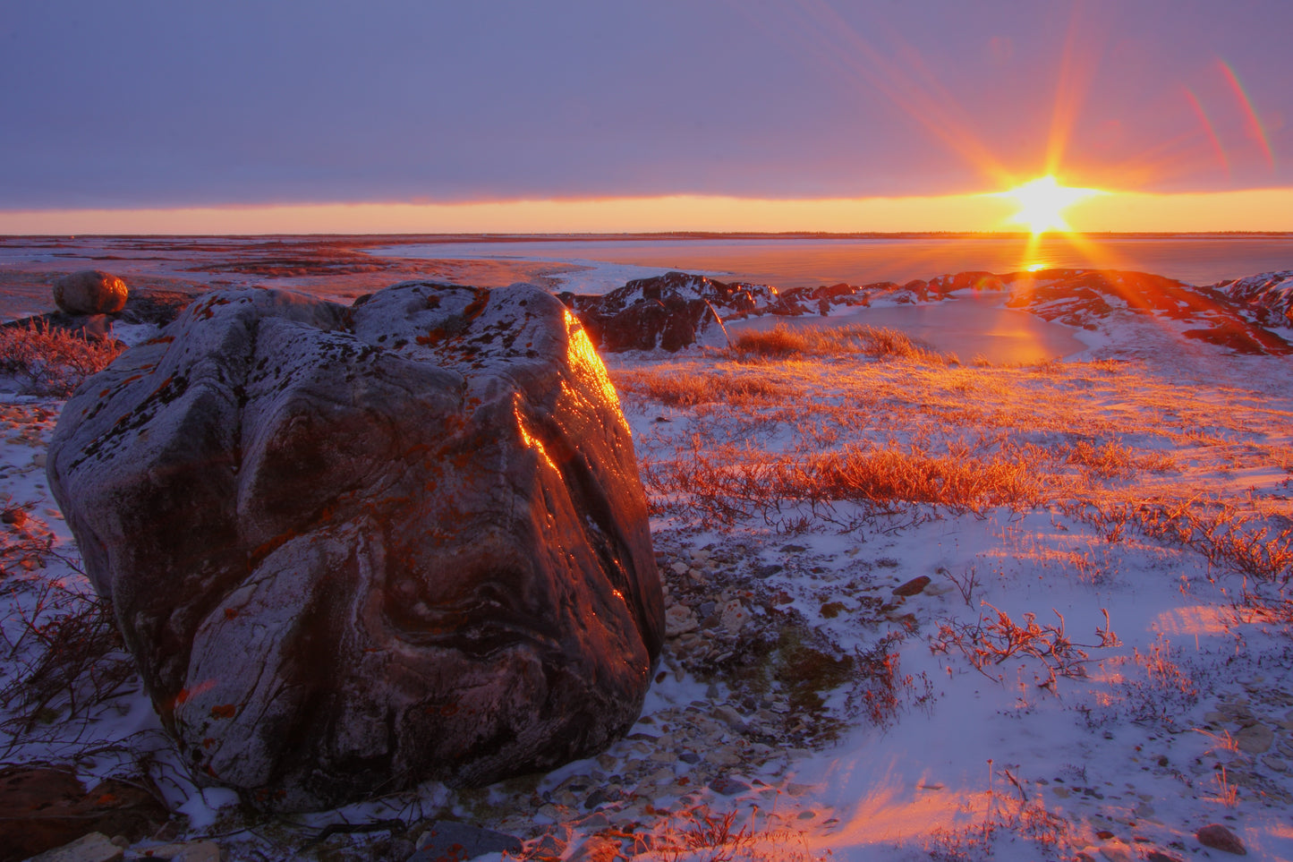 Polar Bears of Churchill | November 4 - 9 | Activity Level 2 | Booking deadline March 31