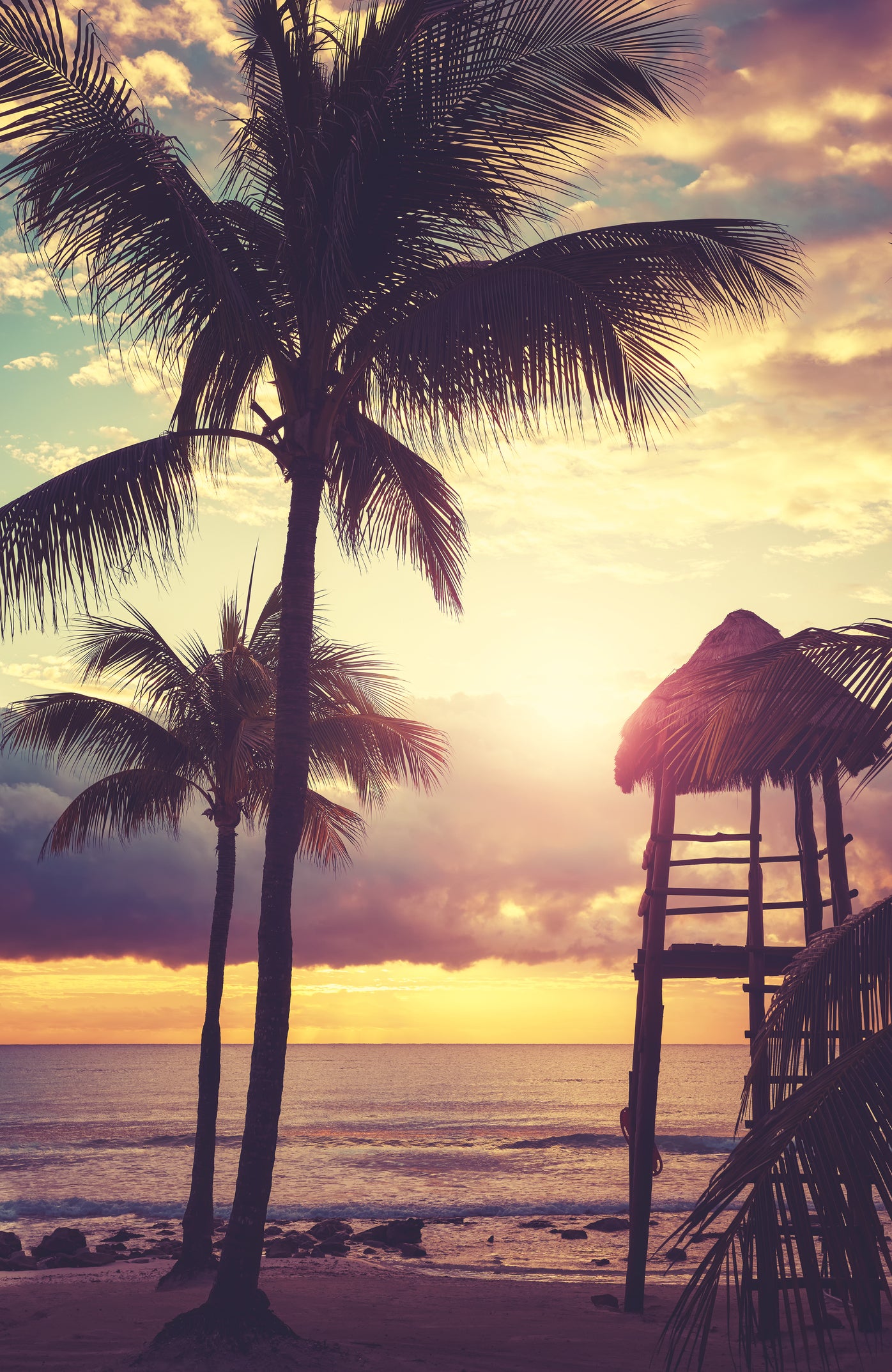 Puerto Vallarta–Riviera Nayarit | January 7-14, 2026 | Activity Level 2