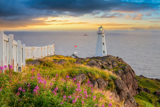 Newfoundland: An East Coast Adventure | June 8 - 23, 2027 | Activity Level 2