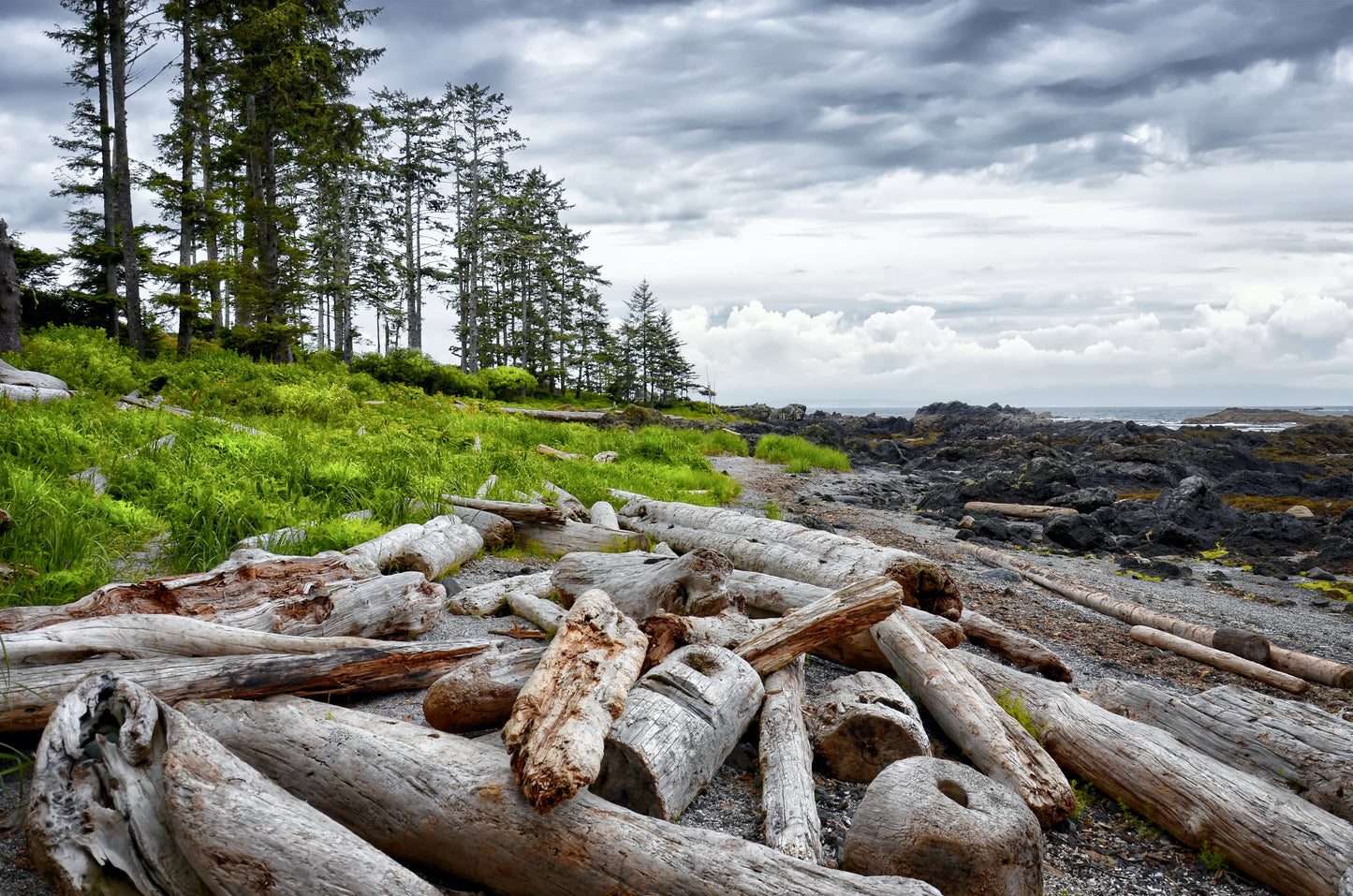 Wickaninnish Inn Experience | December 6 - 10, 2026 | Activity Level 3
