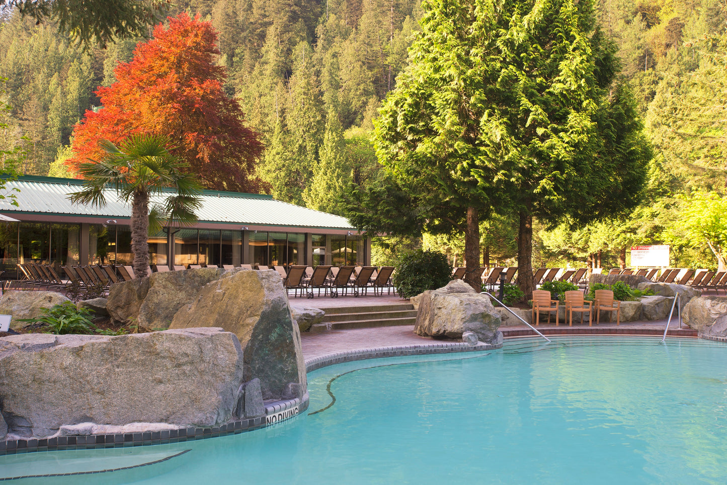 Eagles at Harrison Hot Springs | November 25 - 27, 2026 | Activity Level 2
