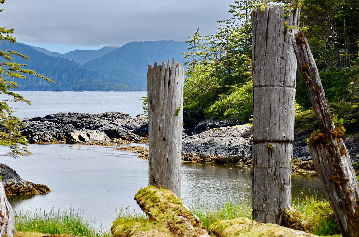 Haida Gwaii | July 3 - 9, 18 - 24, August 7 - 13, 2026 | Activity Level 3
