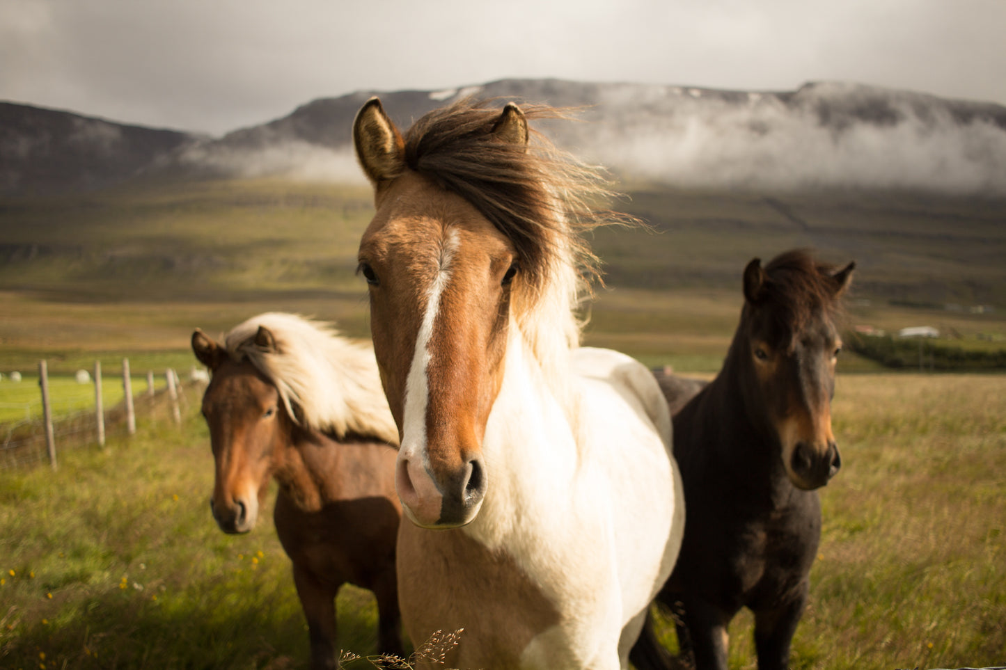 Incredible Iceland - Land of Wonders | June 15 - 24, 2027 | Activity Level 3