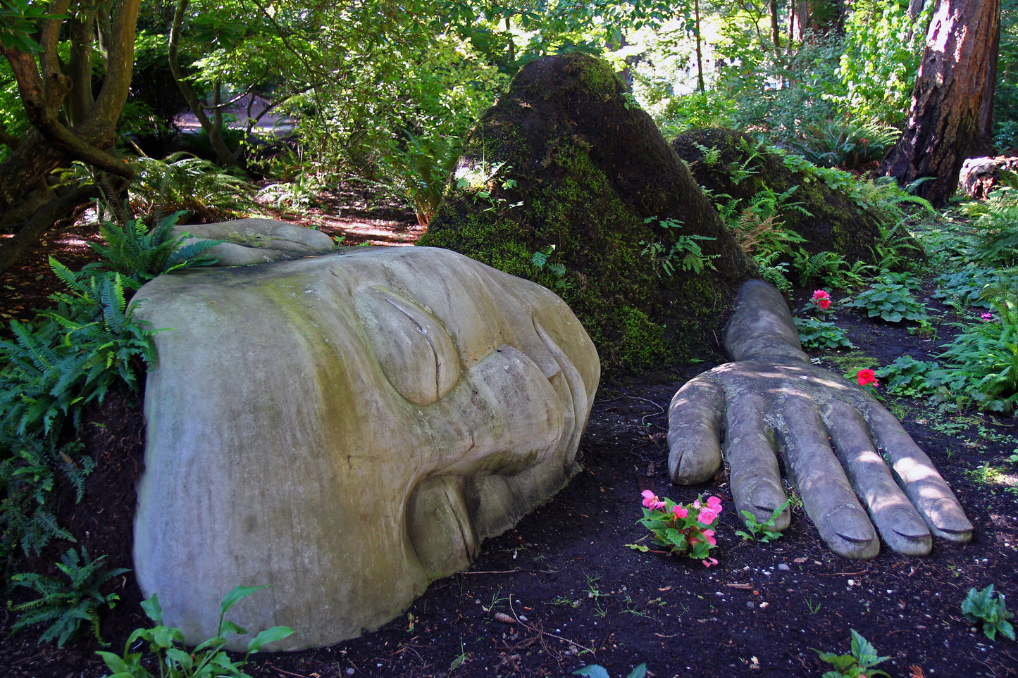 Spectacular Gardens of Victoria | June 2026 TBA | Activity Level 2