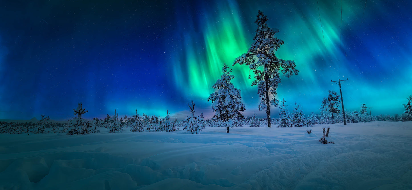 Yukon's Northern Lights | February 18 - 22, 2026 | Activity Level 2