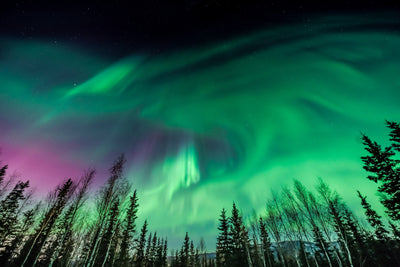 Yukon's Northern Lights | February 18 - 22, 2026 | Activity Level 2