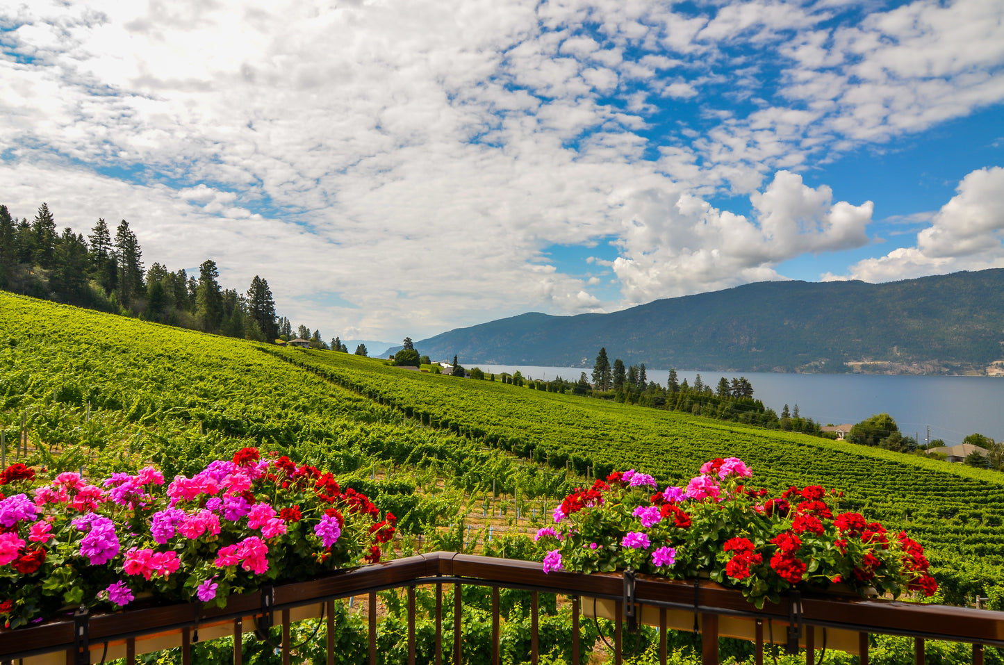 Kettle Valley Railway & Winery Tour | May 24 - 27, 2026 | Activity Level 1