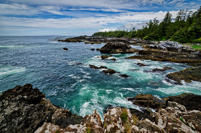 Wickaninnish Inn Experience | December 6 - 10, 2026 | Activity Level 3