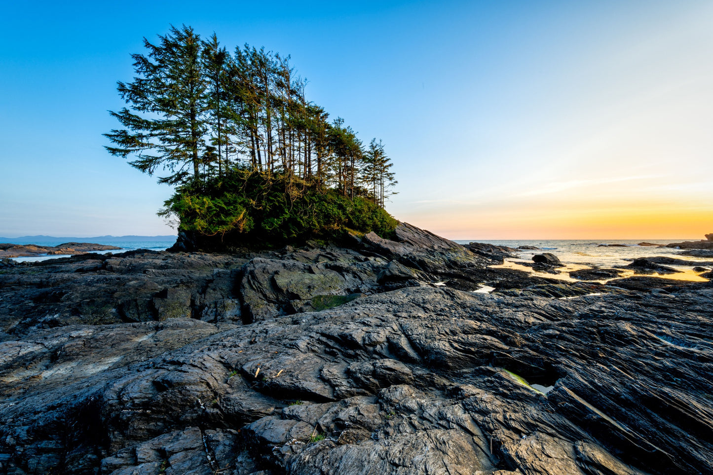 The Wild West Coast | June 8 - 12 | Activity Level 3