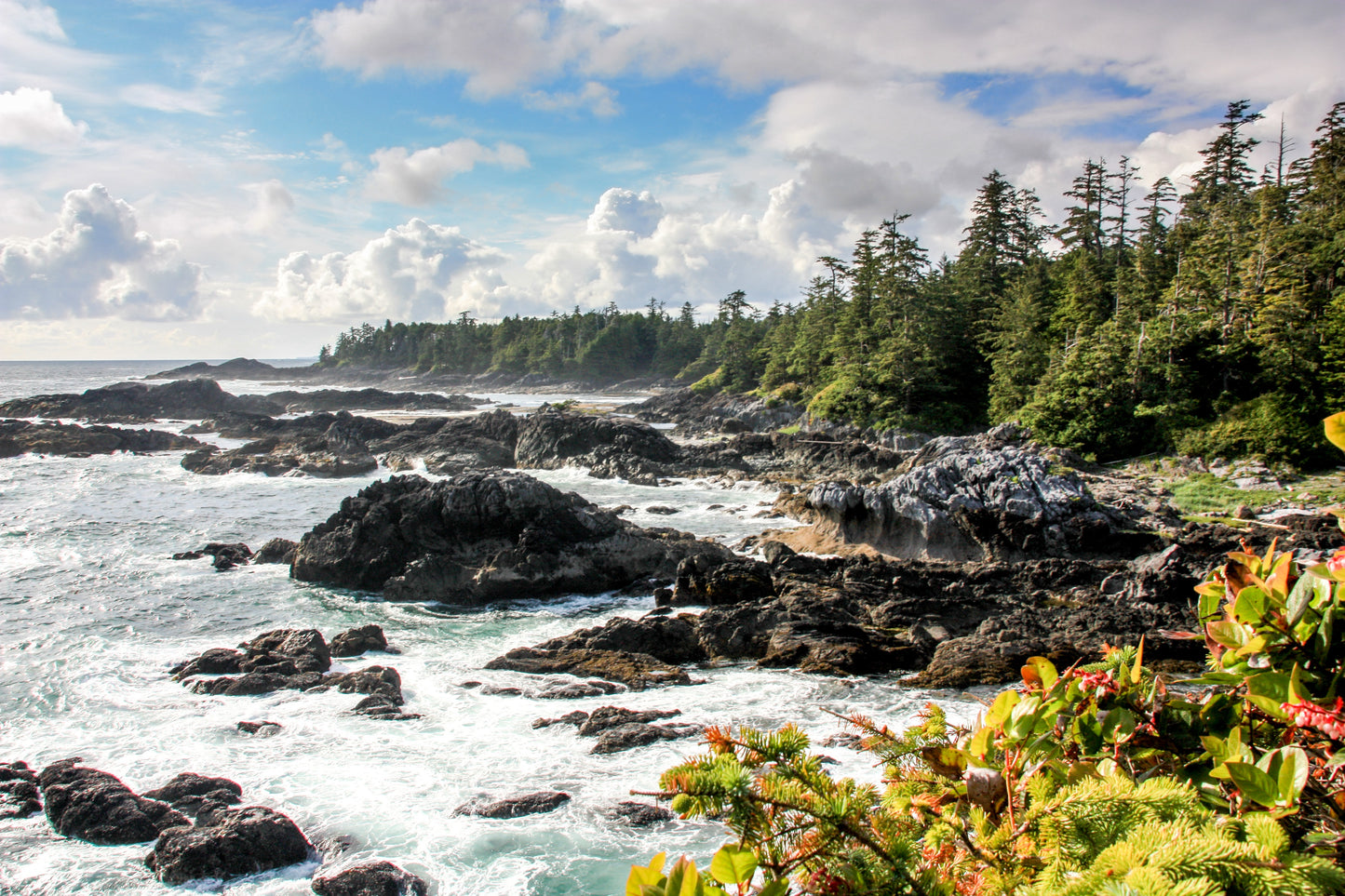 Wickaninnish Inn Experience | November 23 - 27, 2025 | Activity Level 3