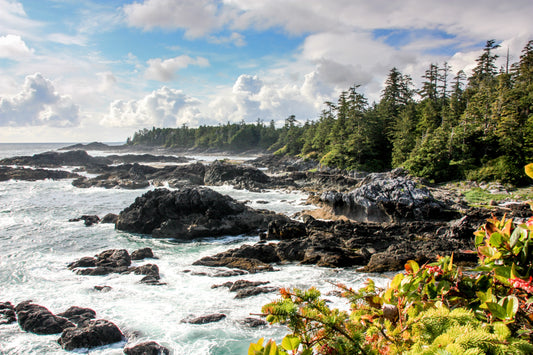 Wickaninnish Inn Experience | November 23 - 27, 2025 | Activity Level 3